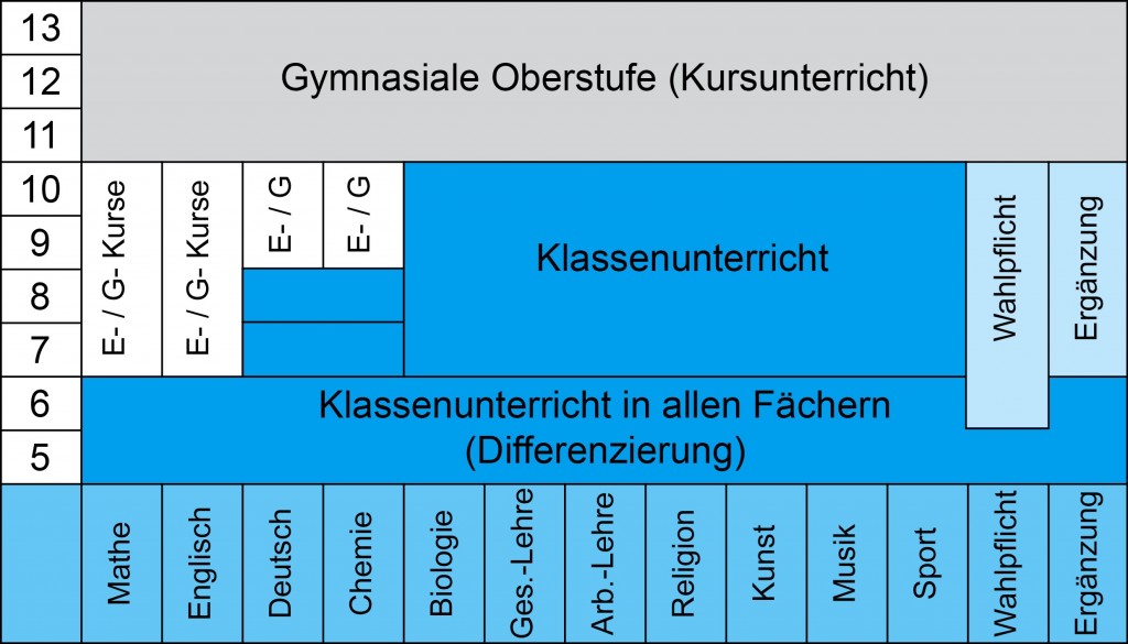 Aufbau der Gesamtschule